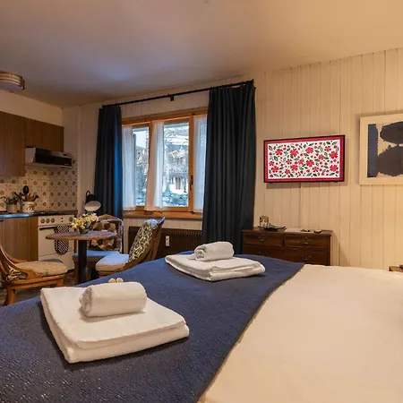 Apartment La Ruinette-cosy In Centre